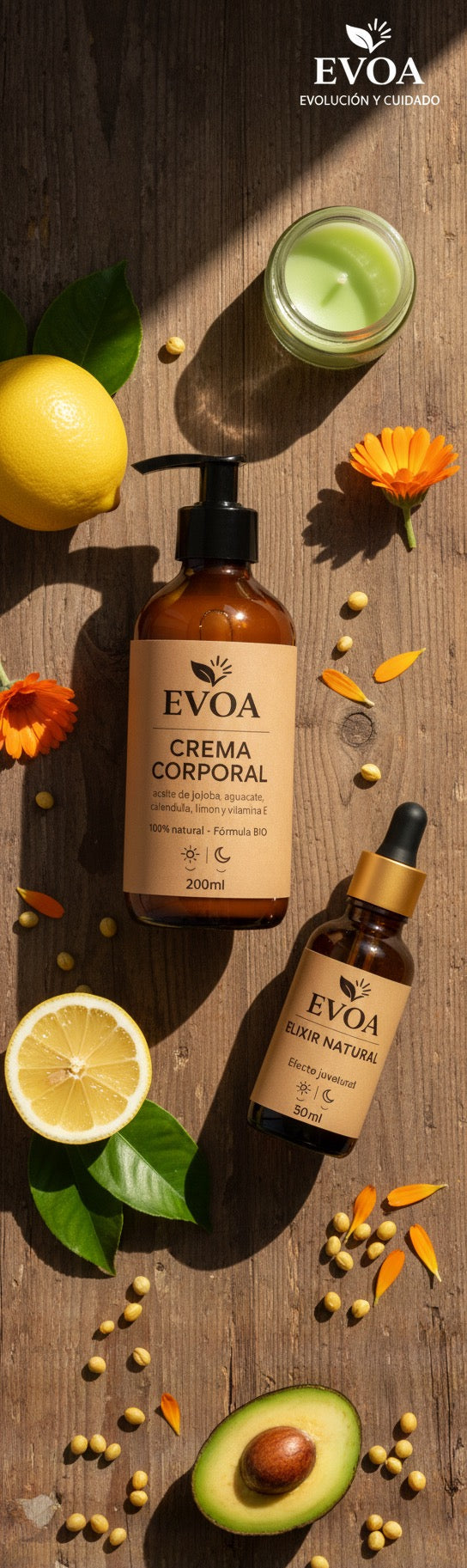 🎁 Pack Esencial EVOA + Regalo